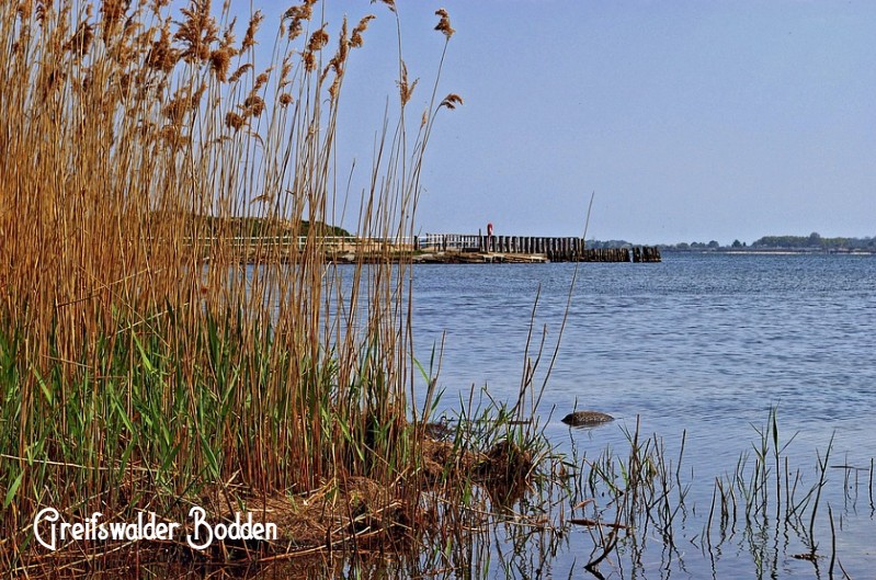 Greifswalder Bodden