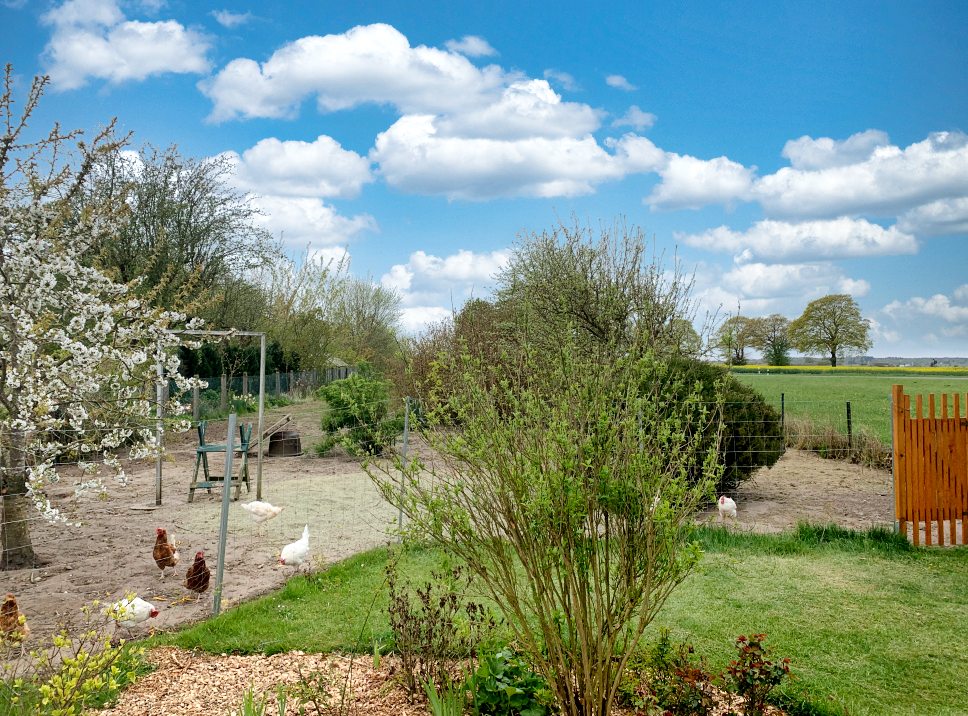 Gartenbereich der Ferienwohnung in Mesekenhagen